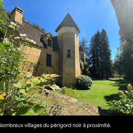 Coeur De Dordogne Grande Piscine Au Sel Vue Vallee Prázdninový dům *