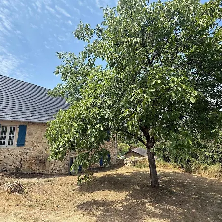 Coeur De Dordogne Grande Piscine Au Sel Vue Vallee